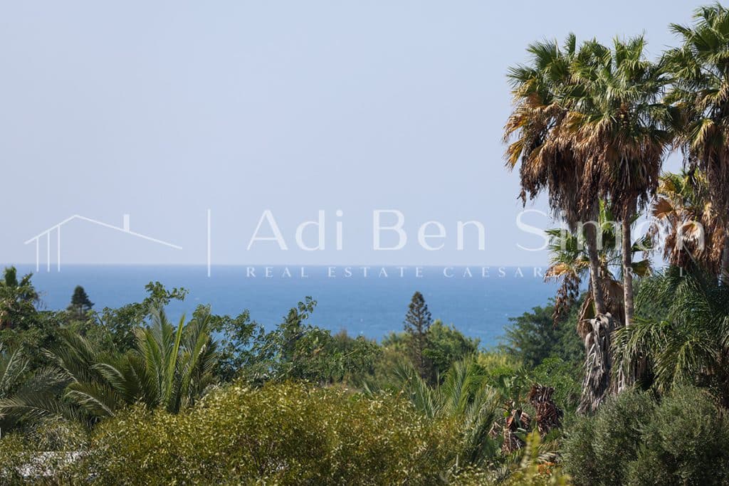 ברחוב ללא מוצא בשכונת הציפורים על שטח של דונם ומאה עם שצפ של דונם המעניק לשטח המגרש תחושה של מגרש ענק